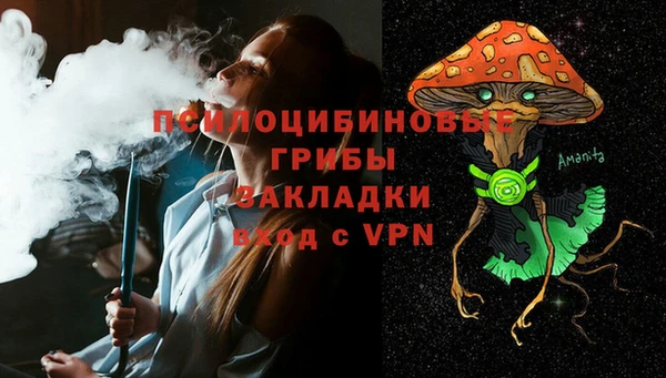 а пвп мука Дмитриев