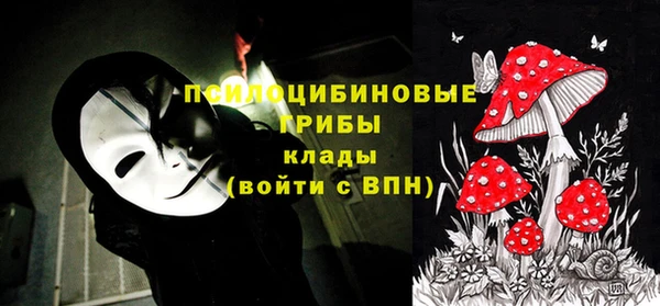 spice Арсеньев