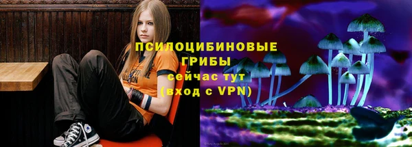 спиды Аркадак