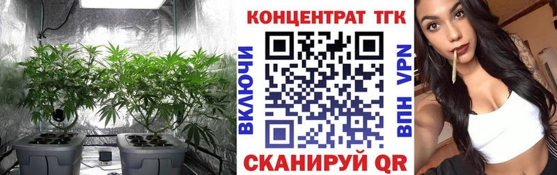 хочу наркоту  Багратионовск  ТГК вейп с тгк 