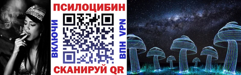 закладка  Багратионовск  Псилоцибиновые грибы прущие грибы 