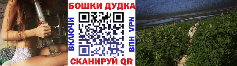 Бошки марихуана White Widow  Багратионовск 